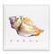 Stupell Industries Conch Shell Renew Wall Plaque Art Design by John Keeling